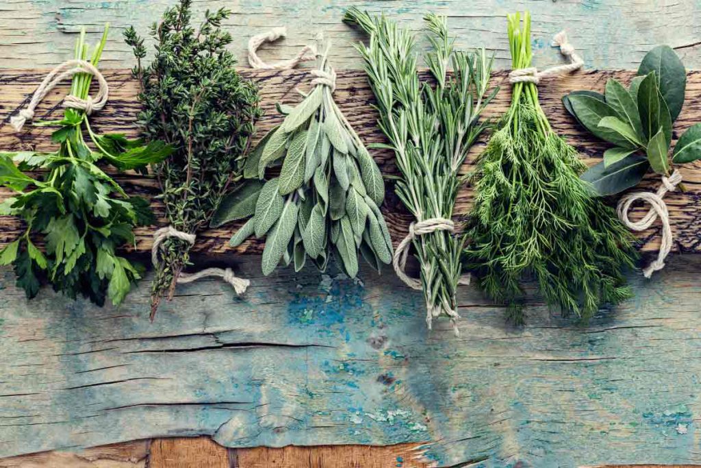 Harness Herbal Helpers