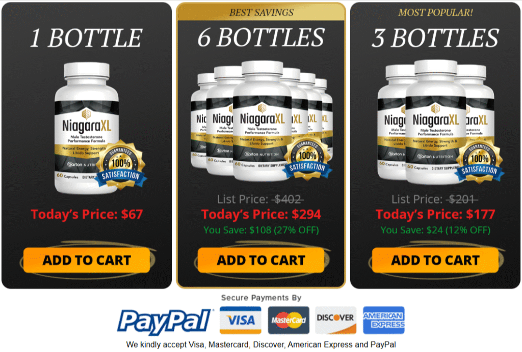 NiagaraXL price
