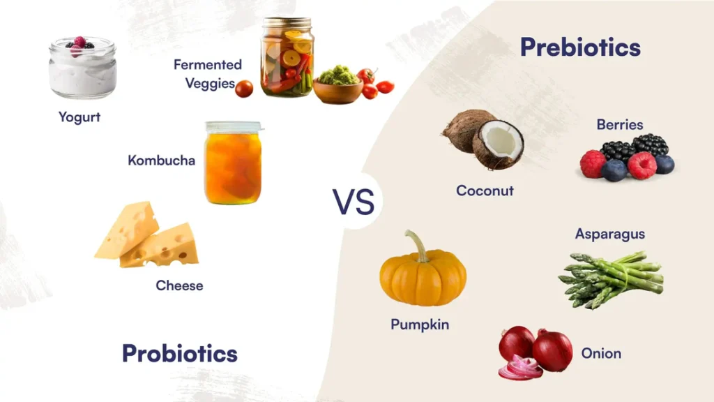 Prebiotic-Rich Foods Fuel for Good Bacteria